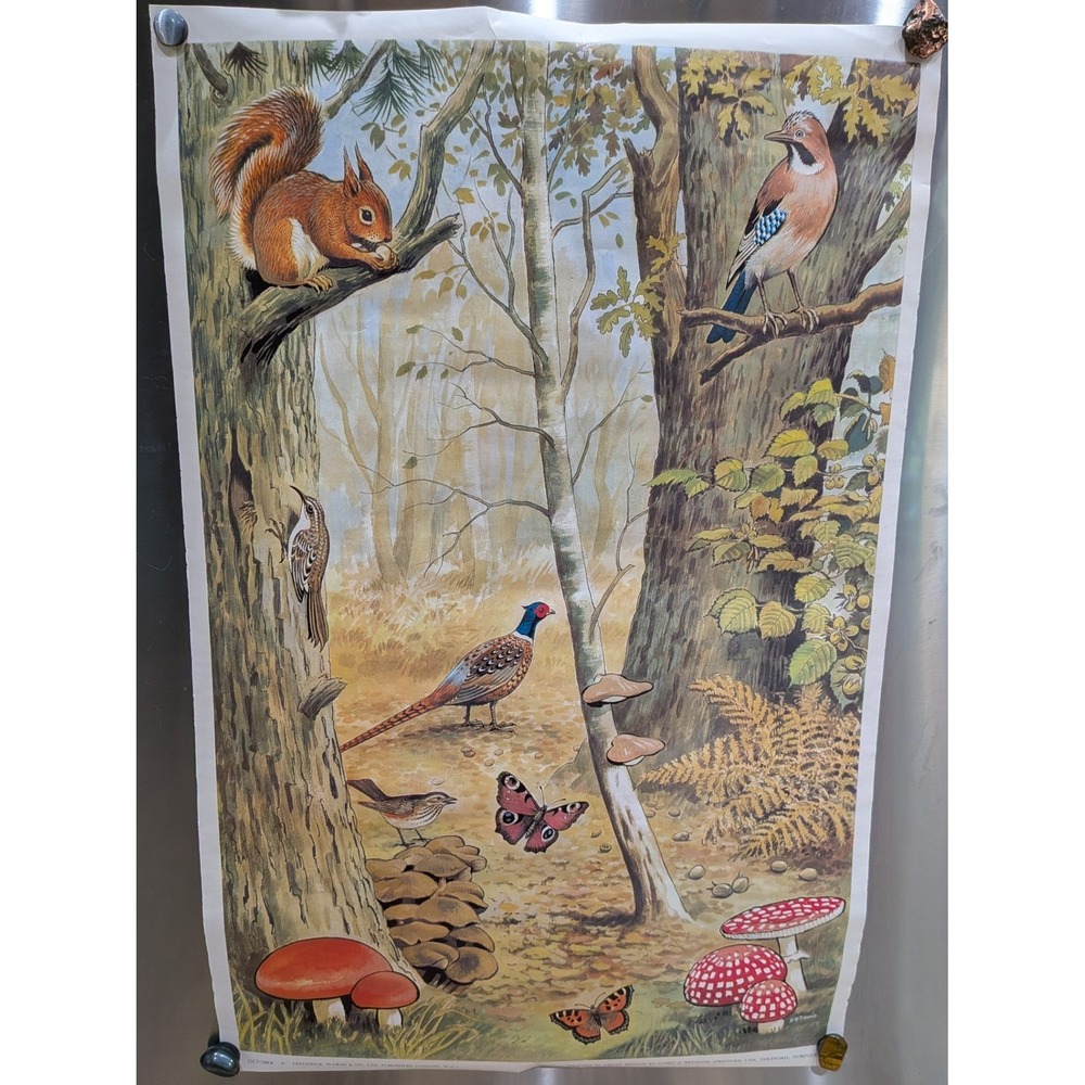 Frederick Warne & Co Vintage Woodland Wildlife Art Print 20x30 Nature Fair